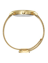 Load image into Gallery viewer, Jura Milanese 38mm Gold White
